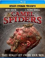 Camel Spiders DVD Cover