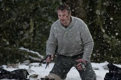 Liam Neeson ready to kick some wolves to the curb in The Grey.