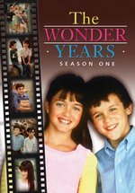photo for The Wonder Years: Season One