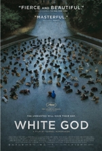 photo for White God