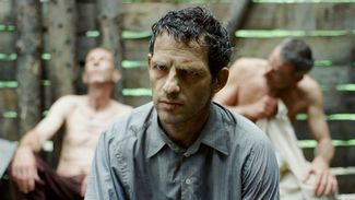 photo for Son of Saul