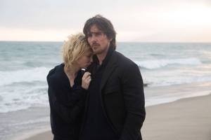 photo for Knight of Cups