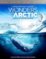 photo for Wonders of the Arctic