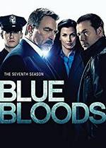 photo for Blue Bloods: The Seventh Season