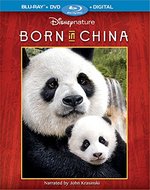 photo for Born in China