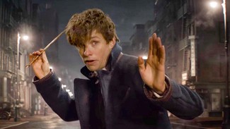 photo for Fantastic Beasts and Where to Find Them