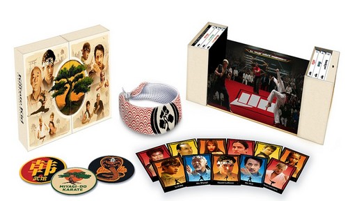 photo for The Karate Kid Ultimate 6-Movie Collection